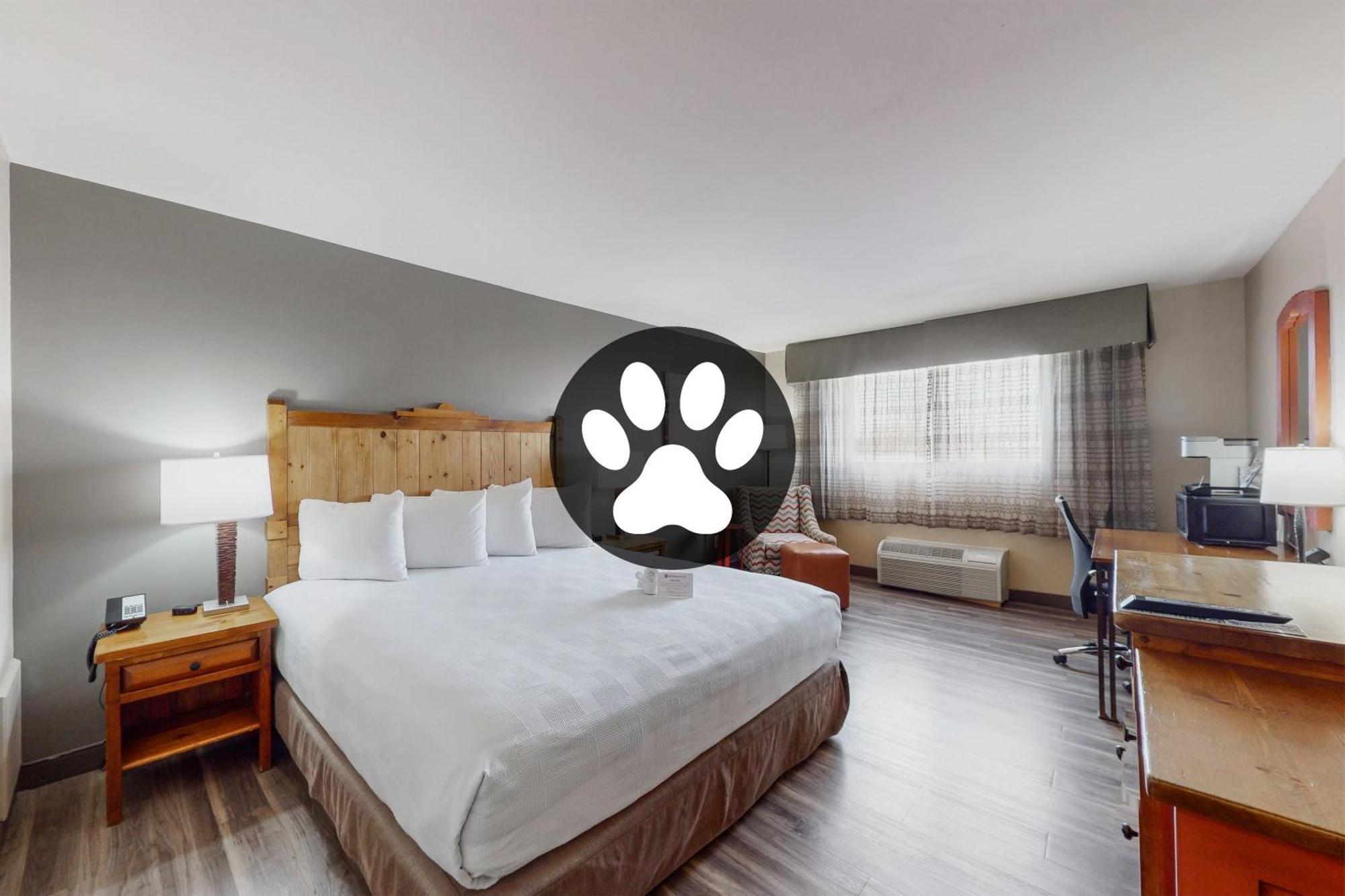 Best Western Plus Rio Grande Inn Albuquerque Dış mekan fotoğraf